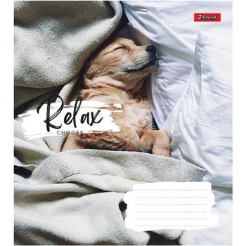 Набор тетрадей 1 Вересня Relax choose, в линию, 18 листов, 25 шт. (766596) - Pampik