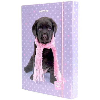 Папка для тетрадей Kite Studio Pets на резинке В5 (SP23-210) - Pampik