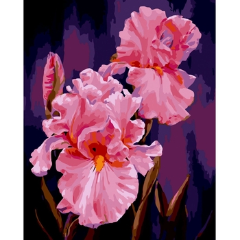 Картина за номерами ZiBi Art Line Пудрові іриси 40х50 см (ZB.64159) - Pampik