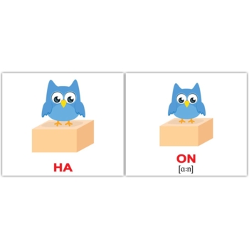 Набір карток Вундеркінд з пелюшок Прийменники/Prepositions, укр.-англ. мова, 20 шт. - Pampik - 3