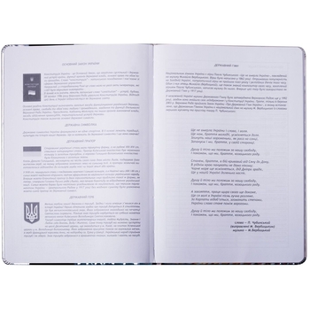 Щоденник шкільний ZiBi Silver В5 48 аркушів срібний (ZB.13214-24) - Pampik - 3