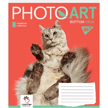 Набір зошитів Yes Photoart, A5, в лінію, 48 аркушів, 10 шт. (766459) - Pampik - 3