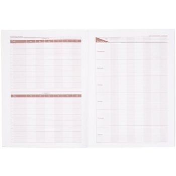 Дневник школьный ZiBi Smart Line А5 40 листов (ZB.13179) - Pampik - 4