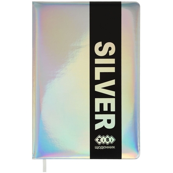 Щоденник шкільний ZiBi Silver В5 48 аркушів срібний (ZB.13214-24) - Pampik