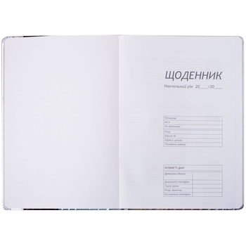 Щоденник шкільний ZiBi Silver В5 48 аркушів срібний (ZB.13214-24) - Pampik - 2