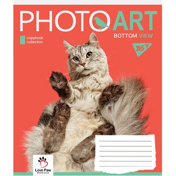 Набор тетрадей общих Yes Photoart А5 в клетку 18 листов (766331) - Pampik