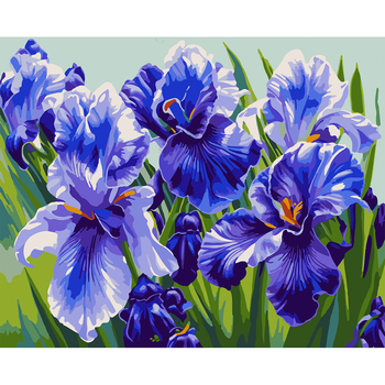 Картина по номерам Santi Голубые ирисы, 40х50 см (954501) - Pampik