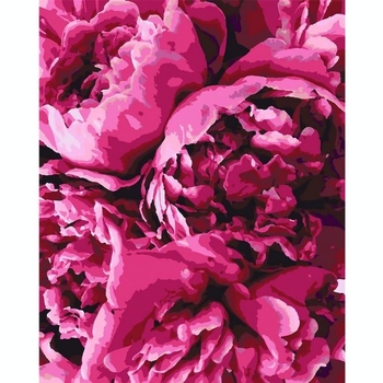 Картина за номерами Santi Королівські півонії, 40х50 см (953815) - Pampik