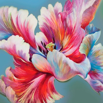 Алмазная мозаика Santi Ирис, 30х30 см (954352) - Pampik