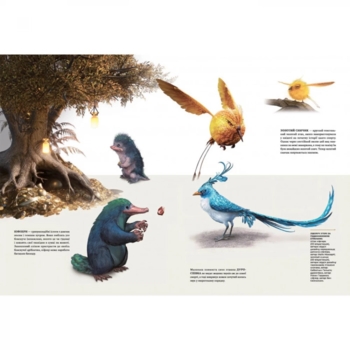 Артбук. Створення світу гри Hogwarts Legacy - Avalanche Software (MAL065) - Pampik - 3