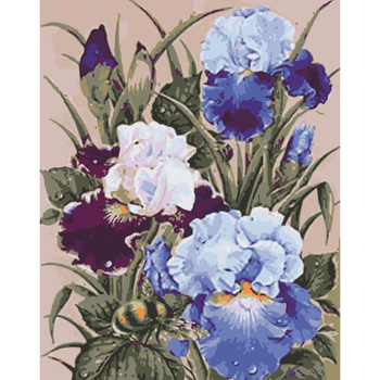 Картина за номерами ArtCraft Півники 40x50 см (13145-AC) - Pampik