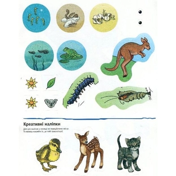 Інтерактивна книжка Богдан Чому? Чого? Навіщо? Малята тварин - Ріхтер Штефан (978-966-10-5959-6) - Pampik - 4