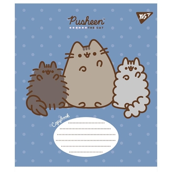 Набір зошитів Yes Pusheen, в косу лінію, 12 аркушів, 25 шт. (766562) - Pampik - 5