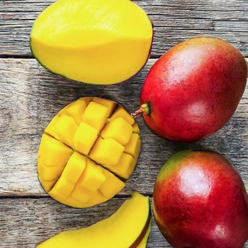 Увлажняющий крем для лица Miya Cosmetics My Wonder Balm Hello Yellow Face Cream 75 мл - Pampik - 3