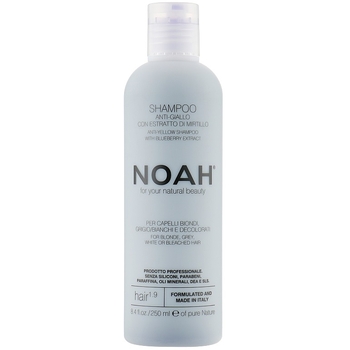 Маска-нейтралізатор жовтизни Noah Anti-Yellow для світлого волосся, з екстрактом чорниці, 250 мл (119896) - Pampik