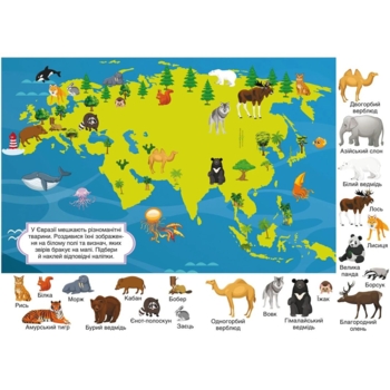 Набор наклеек Кристал Бук Первые развивающие наклейки Животные, 33 шт. - Pampik - 4