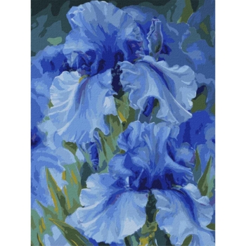Набор для росписи по номерам Ідейка Голубые ирисы, 30х40 см (KHO2988) - Pampik