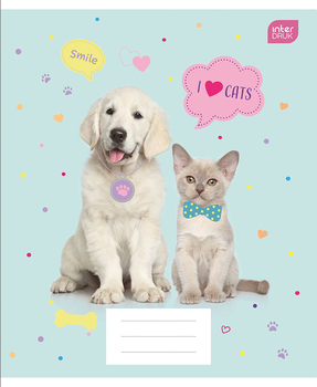 Набір учнівських зошитів Interdruk Premium Mix 3, клітинка, А5+, 12 аркушів, 4 шт. (339416-4) - Pampik - 4