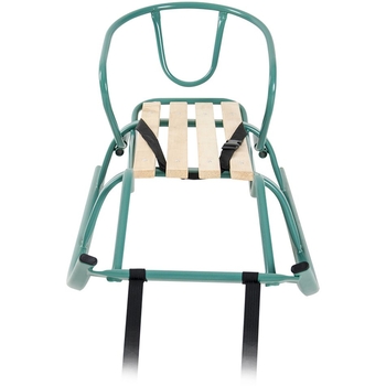 Санки Vitan Спорт Ф1 зі спинкою бірюзові (2130012) - Pampik - 2