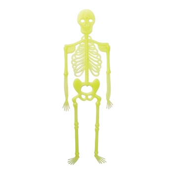 Декор Yes! Fun Хэллоуин Скелет светится в темноте, 34 см (974354) - Pampik