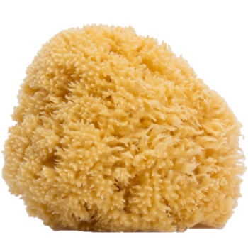 Губка для купания Suavinex, желтая (400025) - Pampik - 2