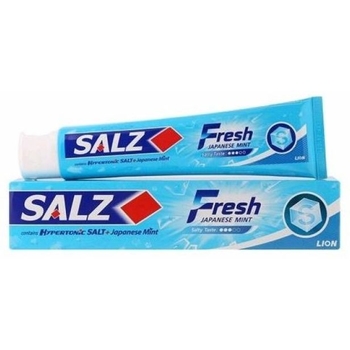 Зубна паста SALZ Fresh Освіжаюча, 90 г - Pampik