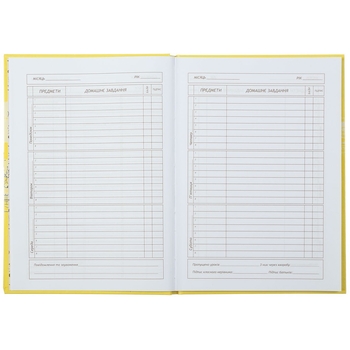 Дневник школьный ZiBi Kids Line Трендовый В5 40 листов (ZB.13765-10) - Pampik - 5