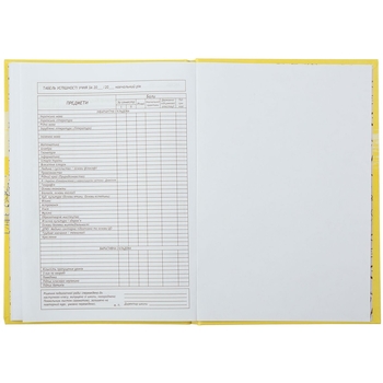 Дневник школьный ZiBi Kids Line Топ Девушка В5 40 листов (ZB.13765-40) - Pampik - 7