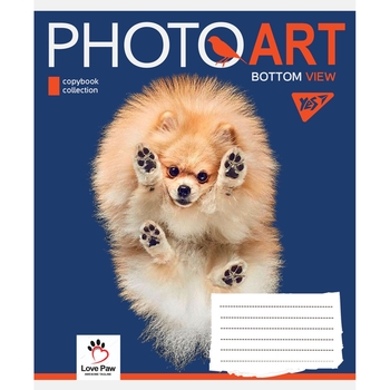 Зошит загальний Yes Photoart, А5, в клітинку, 24 аркуша (766374) - Pampik