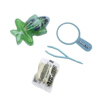 Розвиваючий набір Joker Slimy Lab Анатомія тварин Жабеня S (38083) - Pampik - 2