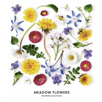 Зошит загальний Школярик Meadow flowers, в лінійку, 36 арк, УФ-лак, 20 шт. (036-3190L) - Pampik - 4