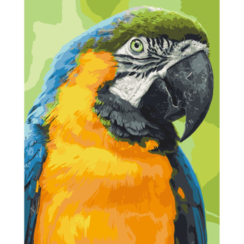 Картина за номерами ArtCraft Папуга Ара 40x50 см (11643-AC) - Pampik