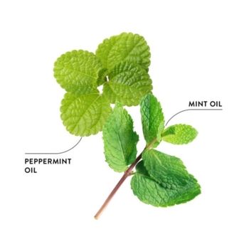 Ополіскувач для ротової порожнини Ecodenta Organic Minty Coconut, 500 мл - Pampik - 4