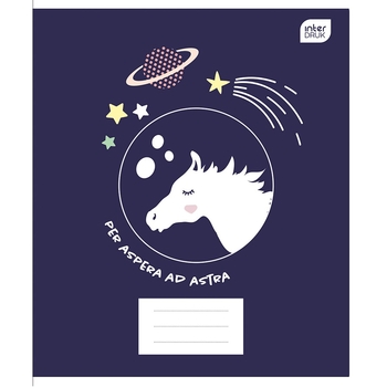 Набор ученических тетрадей Interdruk Premium Mix, линия, А5+, 12 листов, 4 шт. (339430-4) - Pampik