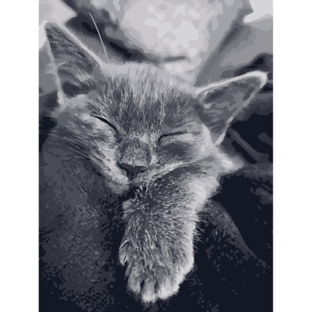 Картина за номерами ArtCraft Котяча подяка 40x50 см (11612-AC) - Pampik