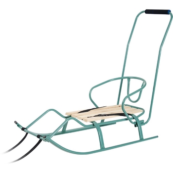 Санки Vitan Спорт Ф1 зі спинкою бірюзові (2130012) - Pampik - 3