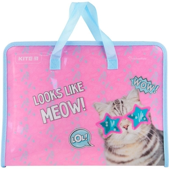 Папка-портфель Kite Rachael Hale на молнии A4 (R22-202) - Pampik