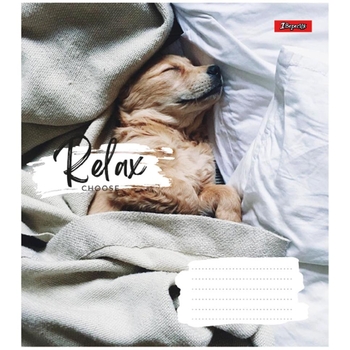 Зошит загальний 1 Вересня Relax Choose, A5, в лінію, 36 листів - Pampik
