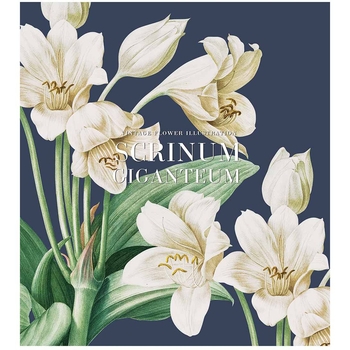 Набір зошитів Школярик My garden, в клітинку, 96 аркушів, УФ-лак, 5 шт. (096-3204K) - Pampik