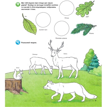 Інтерактивна книжка Богдан Чому? Чого? Навіщо? Тварини світу - Ріхтер Штефан (978-966-10-8473-4) - Pampik - 3