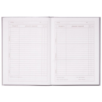 Дневник школьный ZiBi Gang В5 48 листов голубой (ZB.13232-14) - Pampik - 3