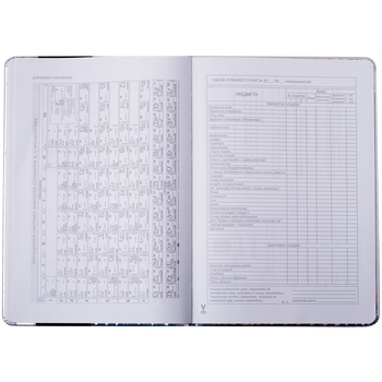 Щоденник шкільний ZiBi Silver В5 48 аркушів срібний (ZB.13214-24) - Pampik - 9