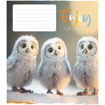 Зошит учнівський Школярик Engoy your life, в клітинку, 12 аркушів, ВД-лак, 30шт. (012-3252K) - Pampik