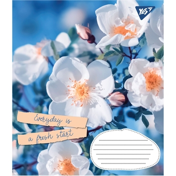 Тетрадь общая 1 Вересня Summer Flowers, A5, в клеточку, 96 листов - Pampik - 3