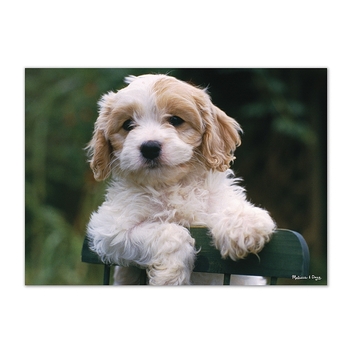 Картонний пазл Melissa&Doug Цуценята, 30 елементів (MD8923) - Pampik - 3