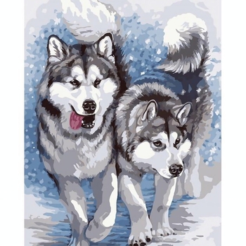 Картина за номерами Santi Хаскі, 25х25 см (954520) - Pampik