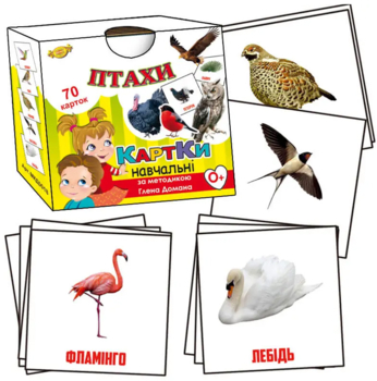 Картки за методикою Глена Домана ПК Майстер Птаха 70 шт - Pampik