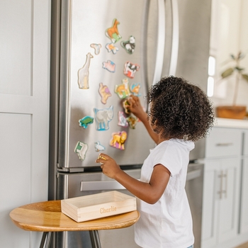 Игровой набор Melissa&Doug Магнитные фигурки Животные, 20 элементов (MD475) - Pampik - 5