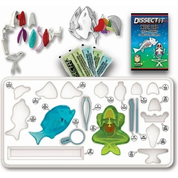 Розвиваючий набір Joker Slimy Lab Анатомія тварин Жабеня та Піранья (38084) - Pampik - 2