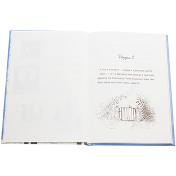 Даня та її клопоти - Рус Лаґеркранц (9789669797216) - Pampik - 4